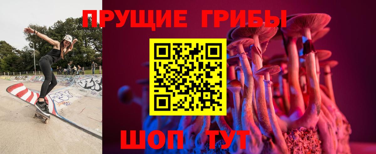 Ипатово  Псилоцибиновые грибы Psilocybe  Вход с VPN 